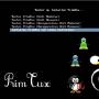 primtux-eiffel-boot-installation.jpg